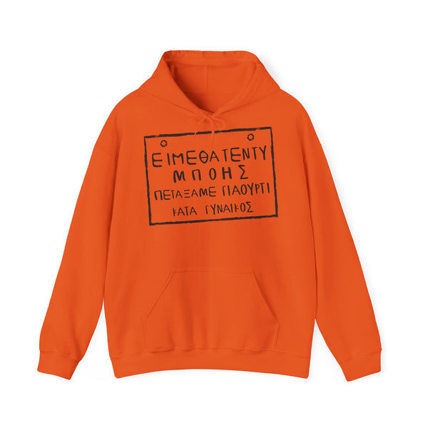 TedyBoy Hoodie